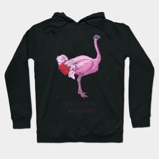 Pink ostrich Hoodie